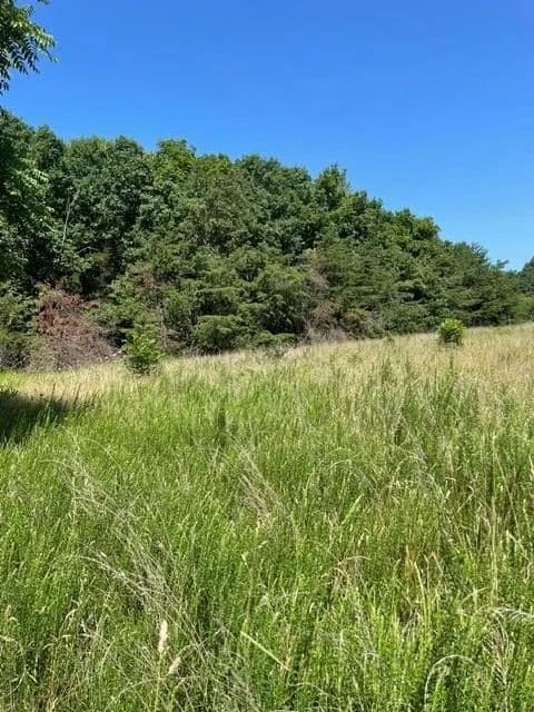 Land -Single Family Acreage in Pamplin - Pamplin, Virginia, 23958