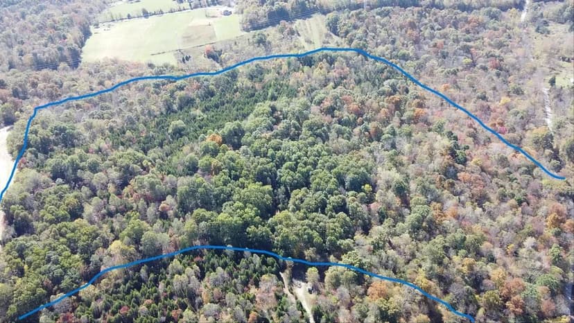 36.935 Acre Woodland Haven