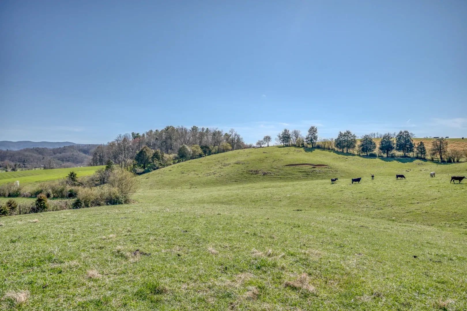 TBD Highway 44, Lot 7 - Bristol, TN 37620 - Bristol, Tennessee, 37620
