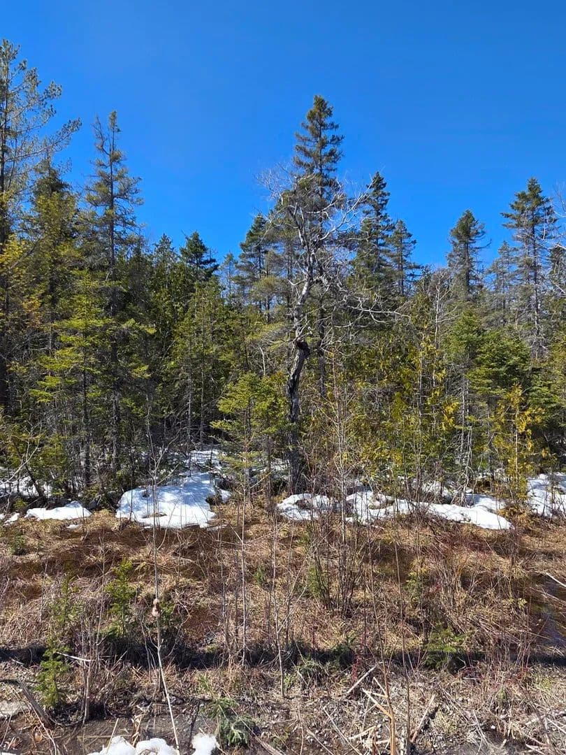 Vacant Land in Alpena - Alpena, Michigan, 49707