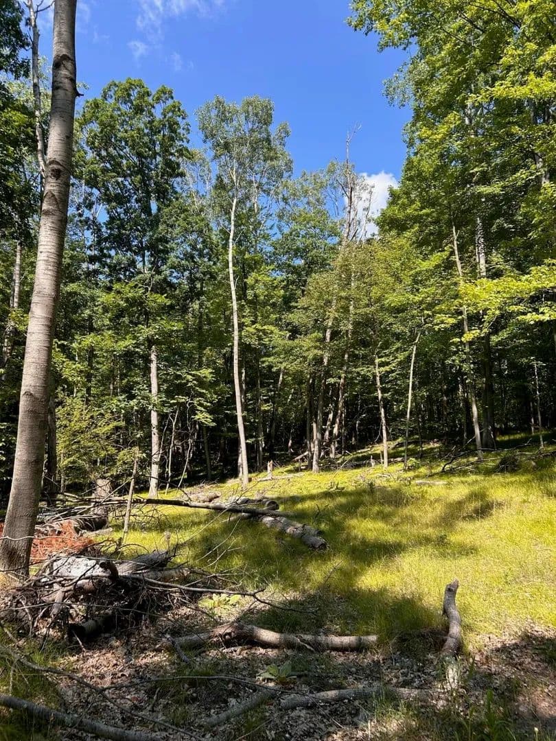 Lots & Land-Other in Canadian Lakes - Canadian Lakes, Michigan, 49346