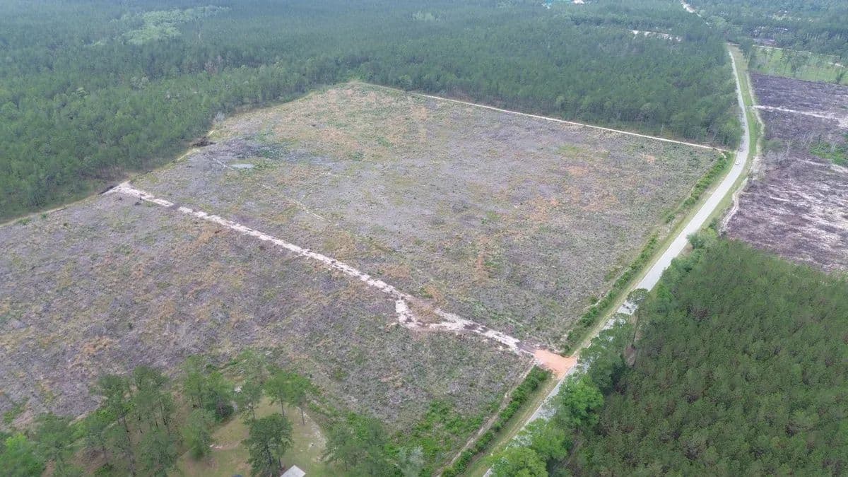 Bay Branch Homestead - land for sale