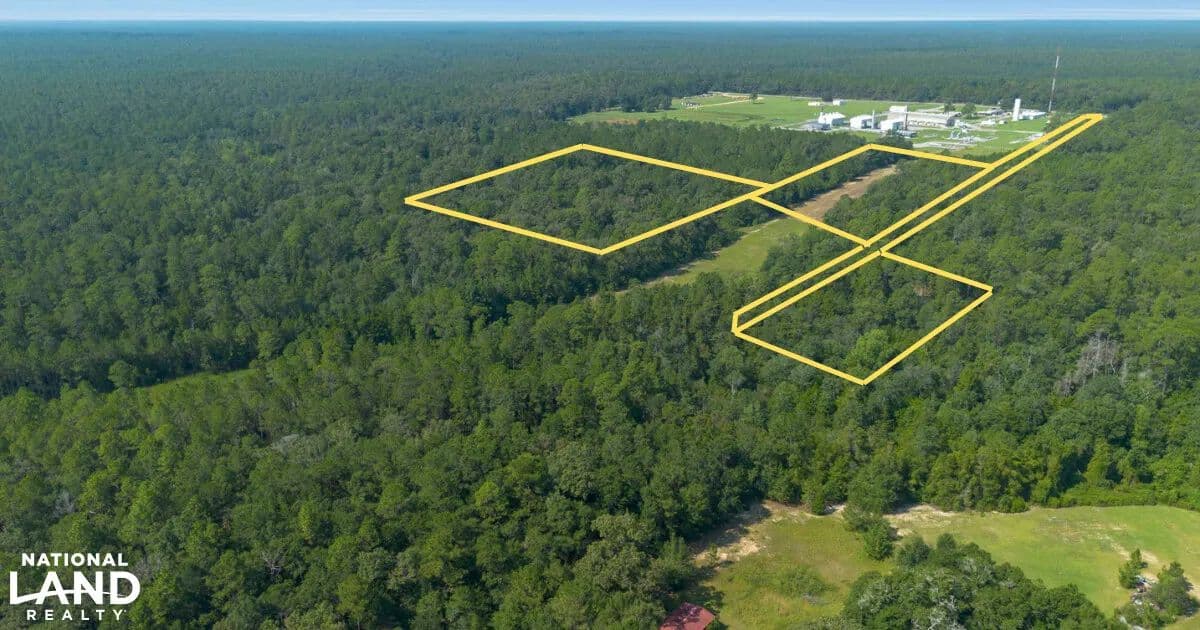 23+ Acre Blackwater State Forest Hunting or Rural Homesite - Milton, Florida, 32570