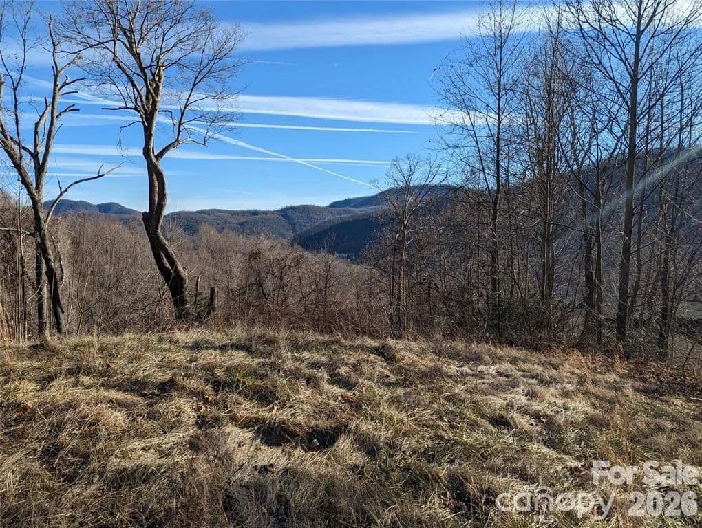 1.02 Acres of Land for Sale in Black Mountain, NC - Black Mountain, North Carolina, 28711