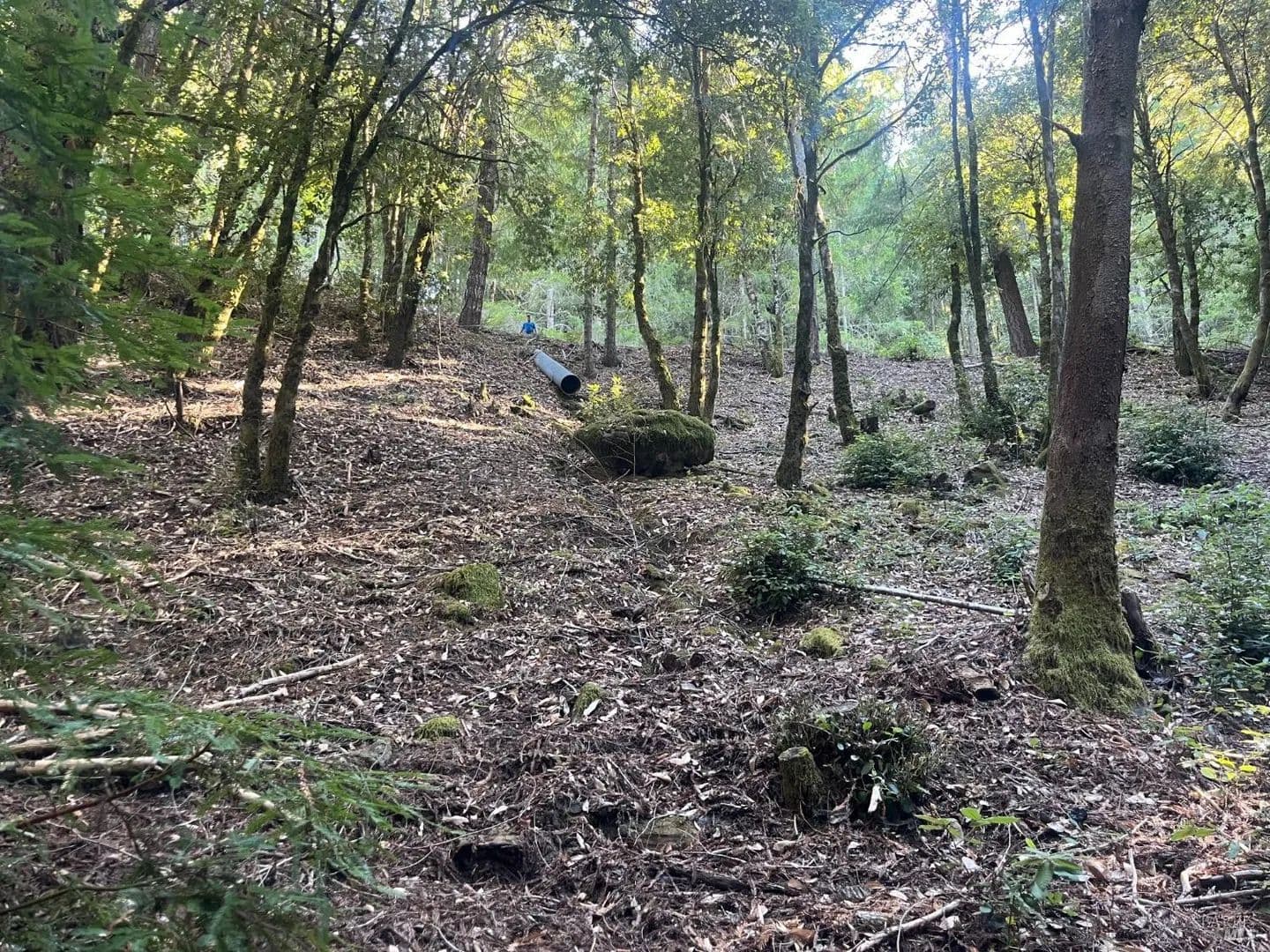 Lots & Land-Other in Willits - Willits, California, 95490