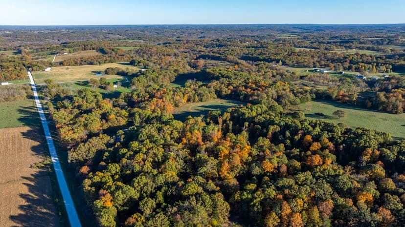 The Perfect Balance of Adventure & Nature with15± Wooded Acres for Sale – Stone County