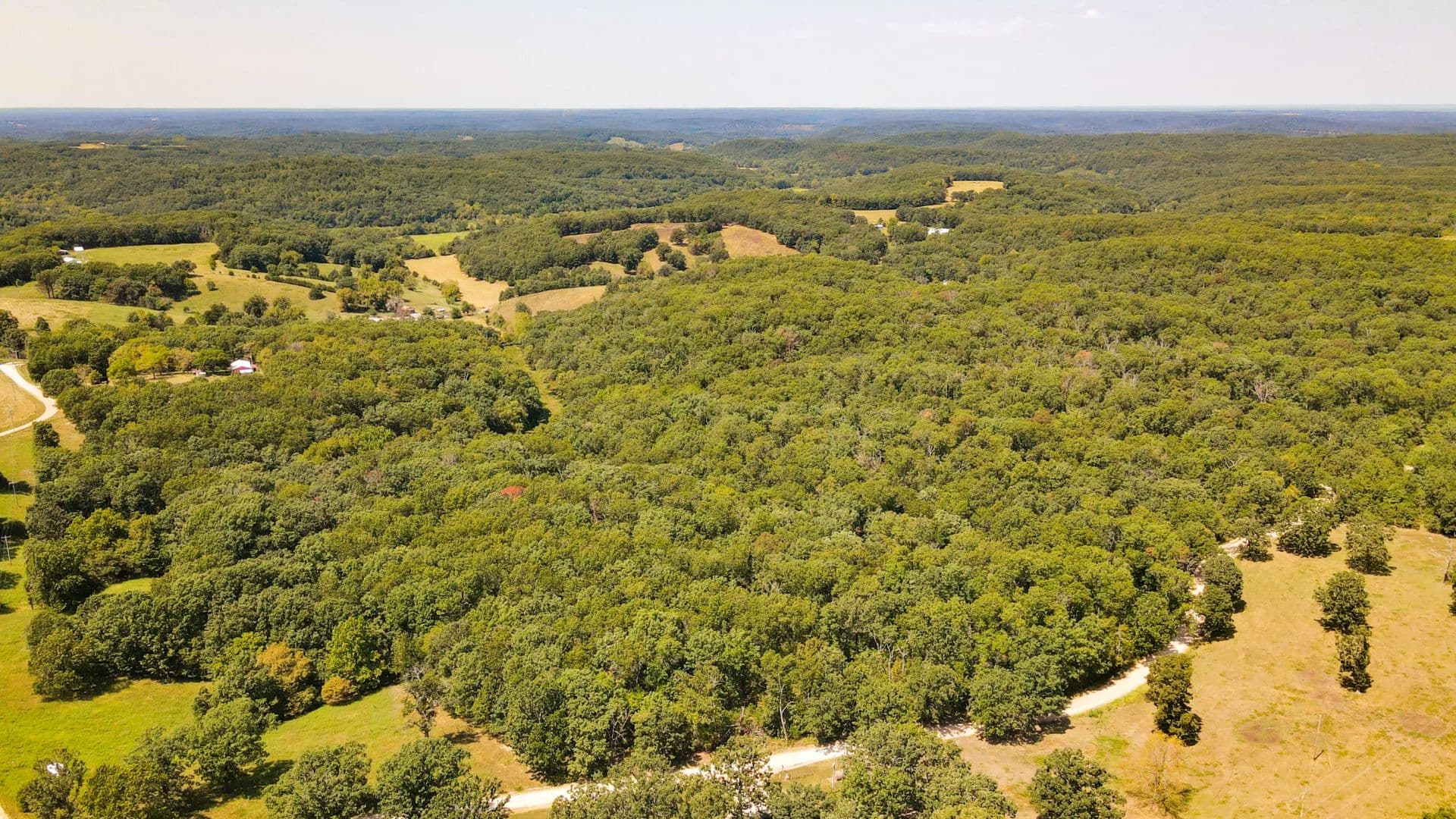 Private 3.2±-Acre Wooded Tract with Build Potential – Camden County  - Macks Creek, Missouri, 65786