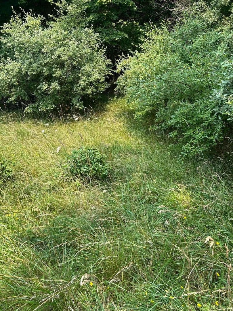 Lots & Land-Other in Pentwater - Pentwater, Michigan, 49449
