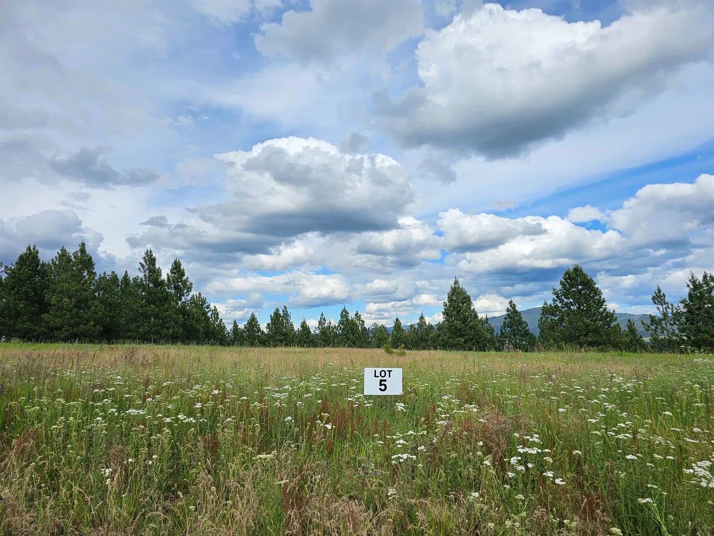 Property from NNA S Sands Rd - KW - Valleyford, Washington, 99036