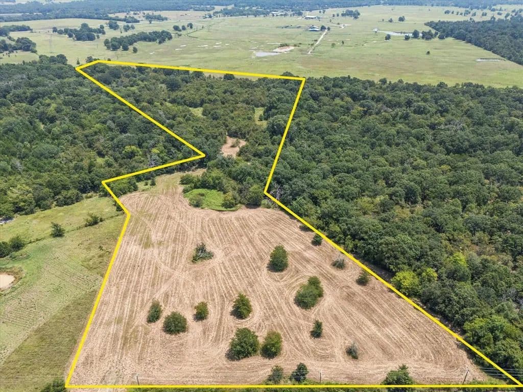 Vacant Land in Ben Wheeler - Ben Wheeler, Texas, 75754