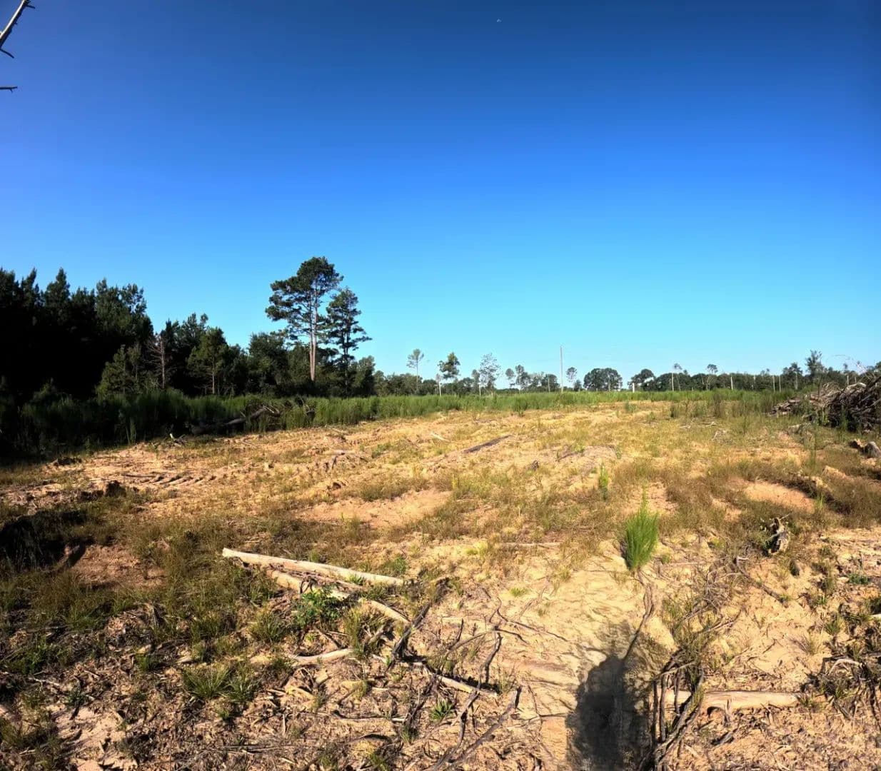 21 Acres Ebenezer Road Marion County - Columbia, Mississippi, 39429