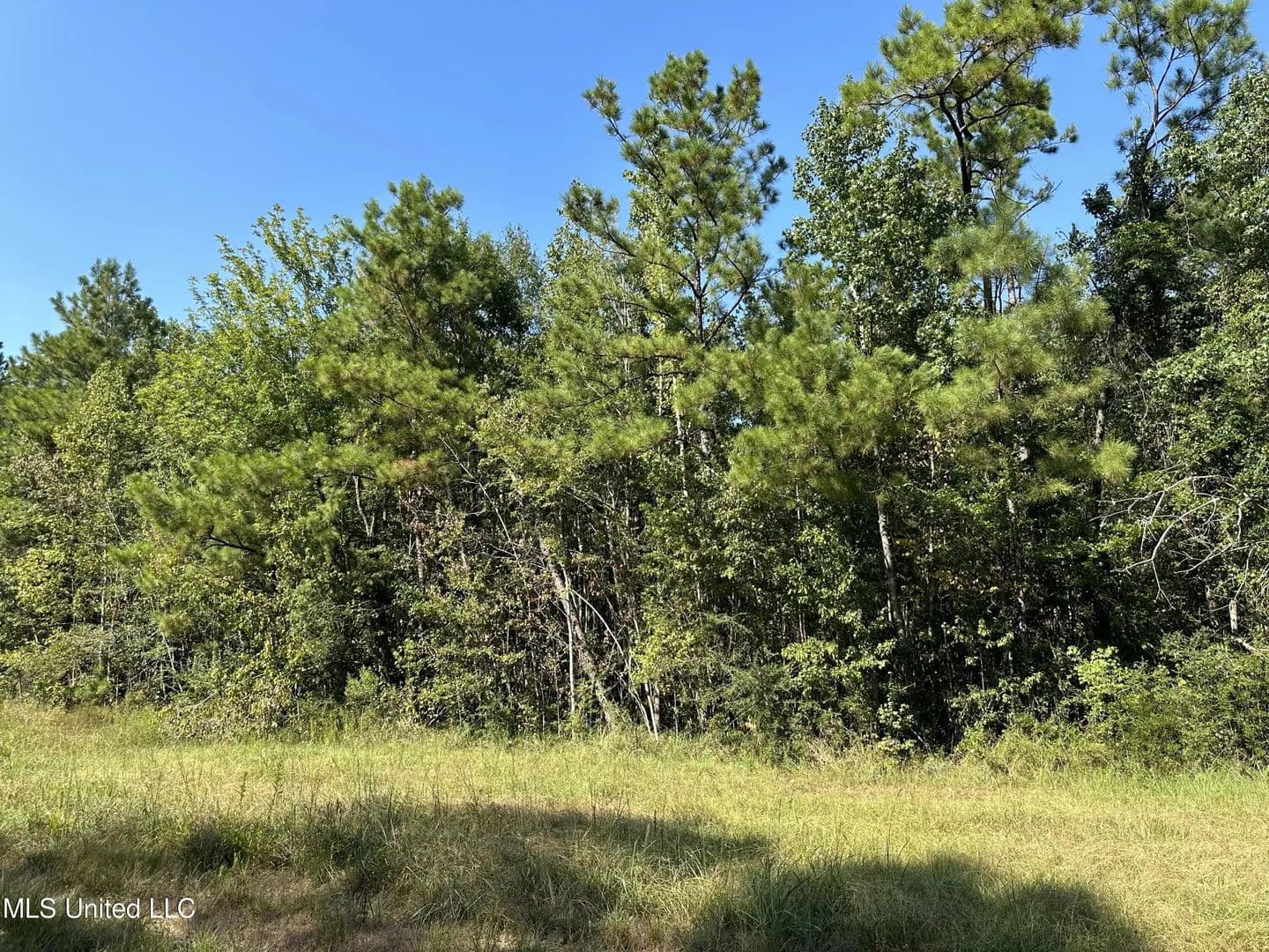 Lots & Land-Other in Lucedale - Lucedale, Mississippi, 39452