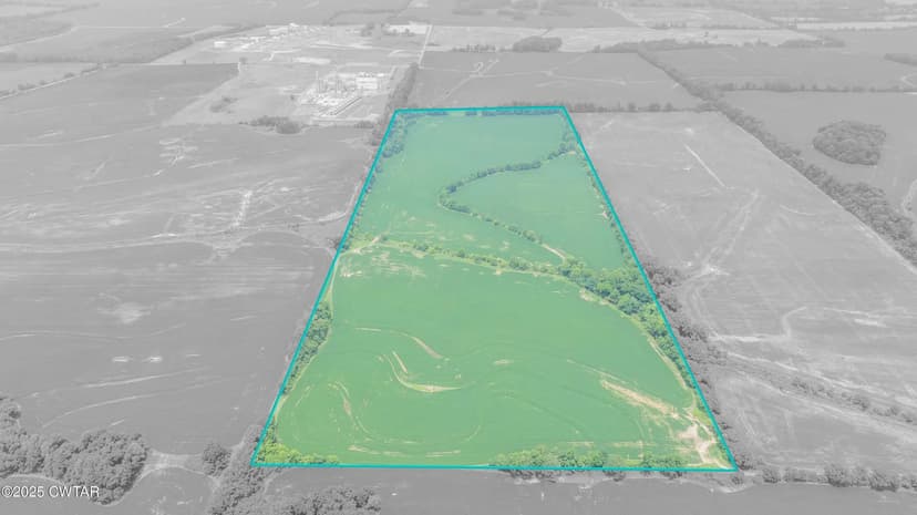 Lots & Land-Other in Brownsville