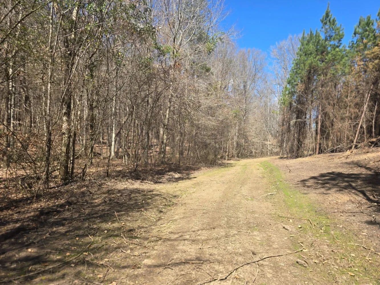 Centreville Home Site & Hunting - Centreville, Alabama, 35042