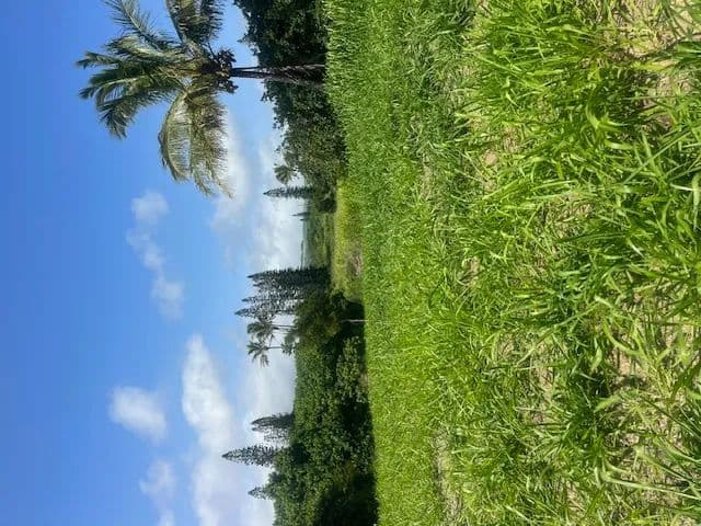 Vacant Land in Naalehu - Naalehu, Hawaii, 96772