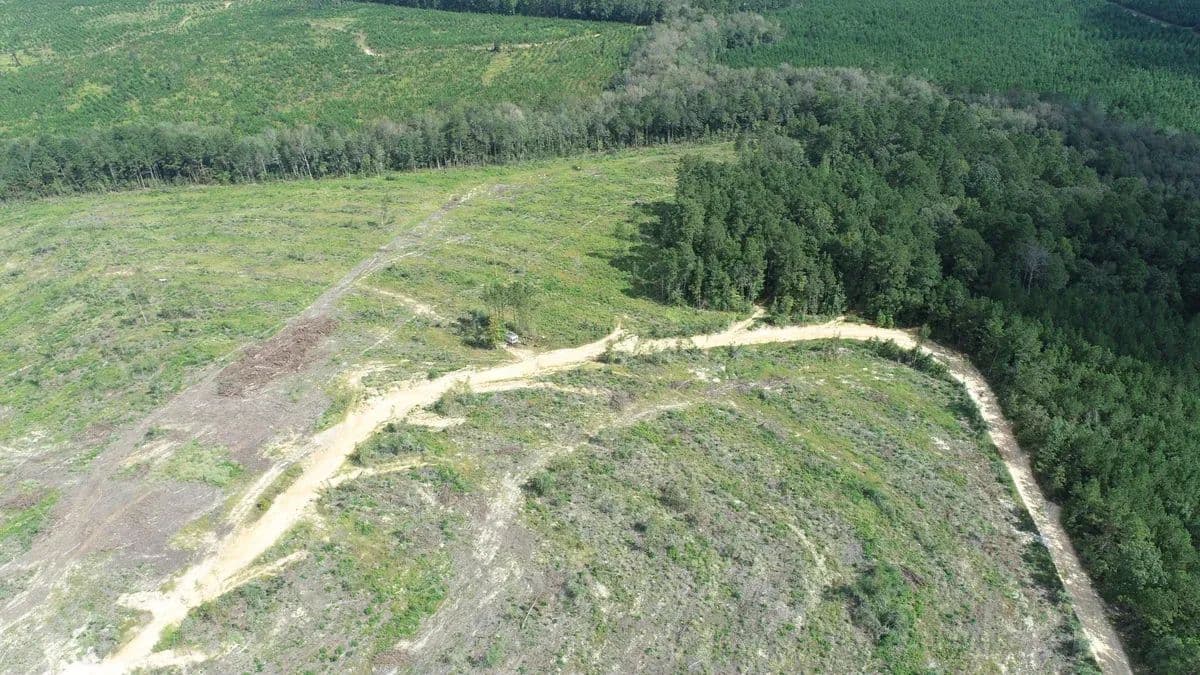 Huff Creek Tract 1 - Jasper, Texas, 75951