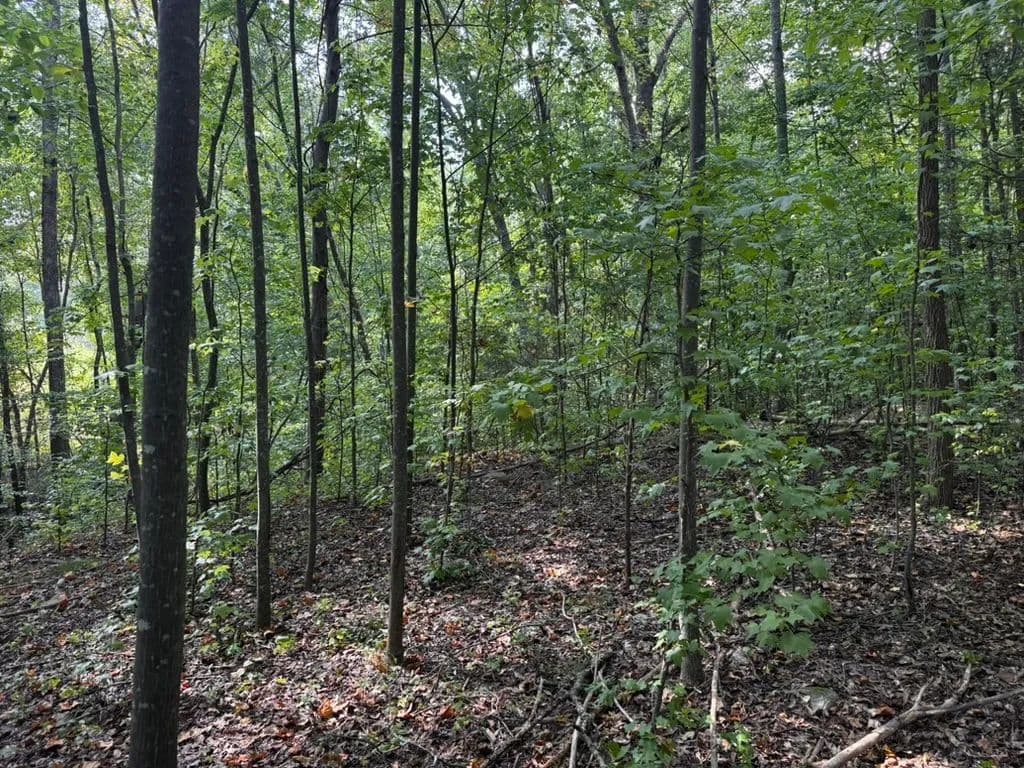 Vacant Land in Anderson - Anderson, South Carolina, 29626