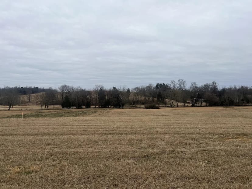 Lots & Land-Other in Moss