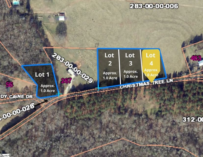 Vacant Land in Woodruff
