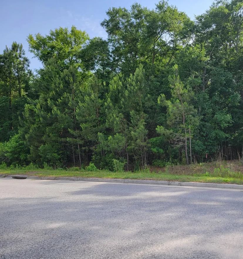 Lots & Land-Other in Mount Pleasant