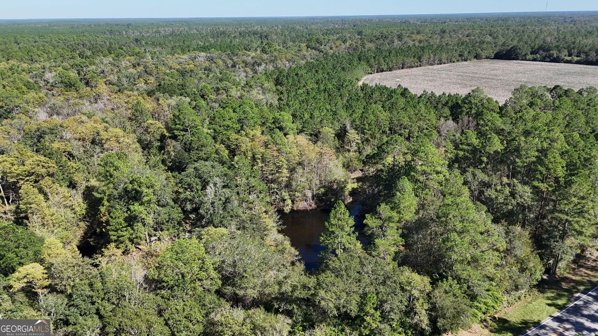 84.94 Acres of Land for Sale in Manor, GA - Manor, Georgia, 31550