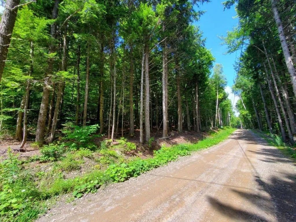 Land -Single Family Acreage in Danforth - Danforth, Maine, 04424
