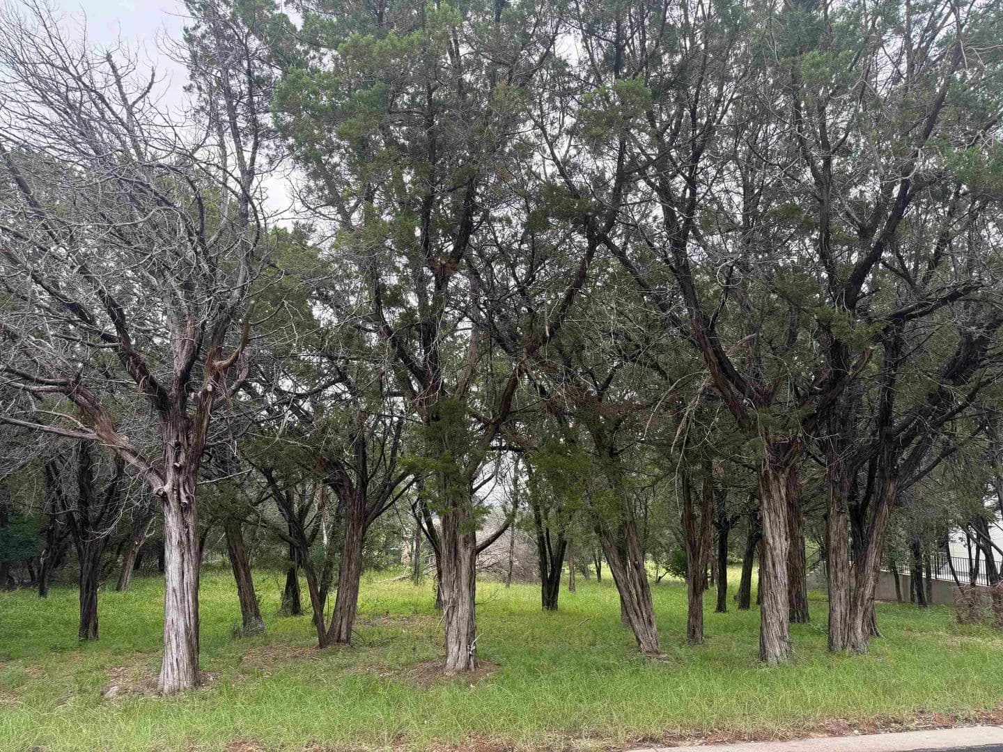 0.13 Acres of Land for Sale in Horseshoe Bay, Texas - Horseshoe Bay, Texas, 78657