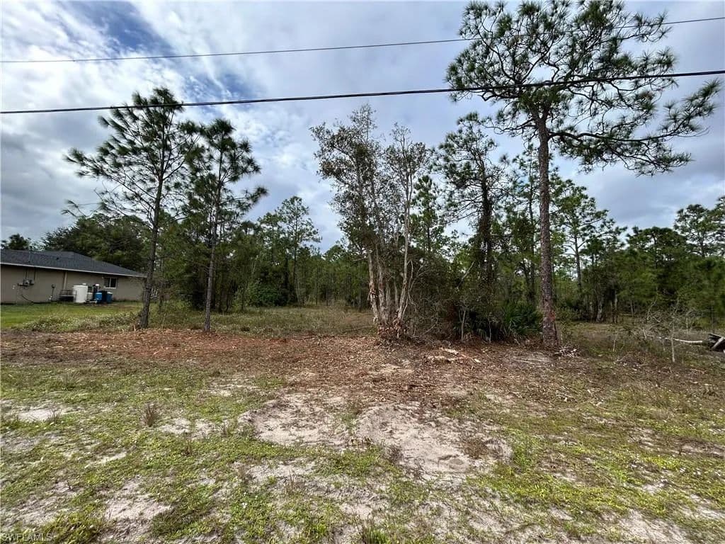 Vacant Land in Lehigh Acres - Lehigh Acres, Florida, 33936