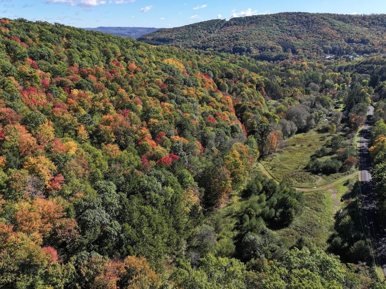 22.9 acres Hunting Land and Recreational Land with Septic System in Olean NY McCann Hollow Rd - Olean, New York, 14760