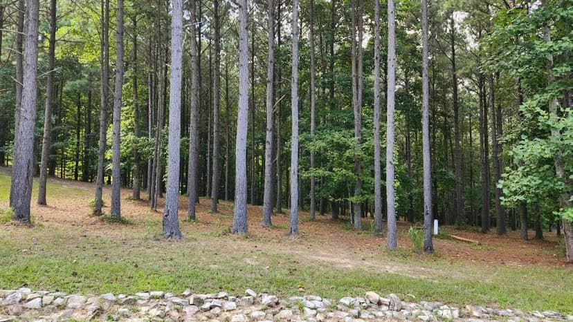 Vacant Land in Jasper