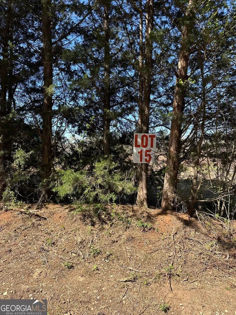 Property from 131 Oak Road #LOT 15 - KW - Locust Grove, Georgia, 30248