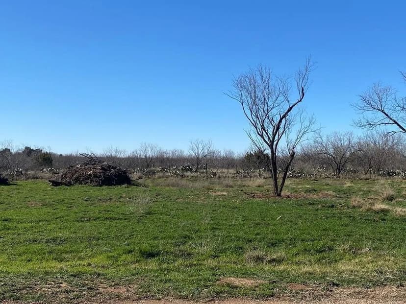Lots & Land-Other in Robert Lee