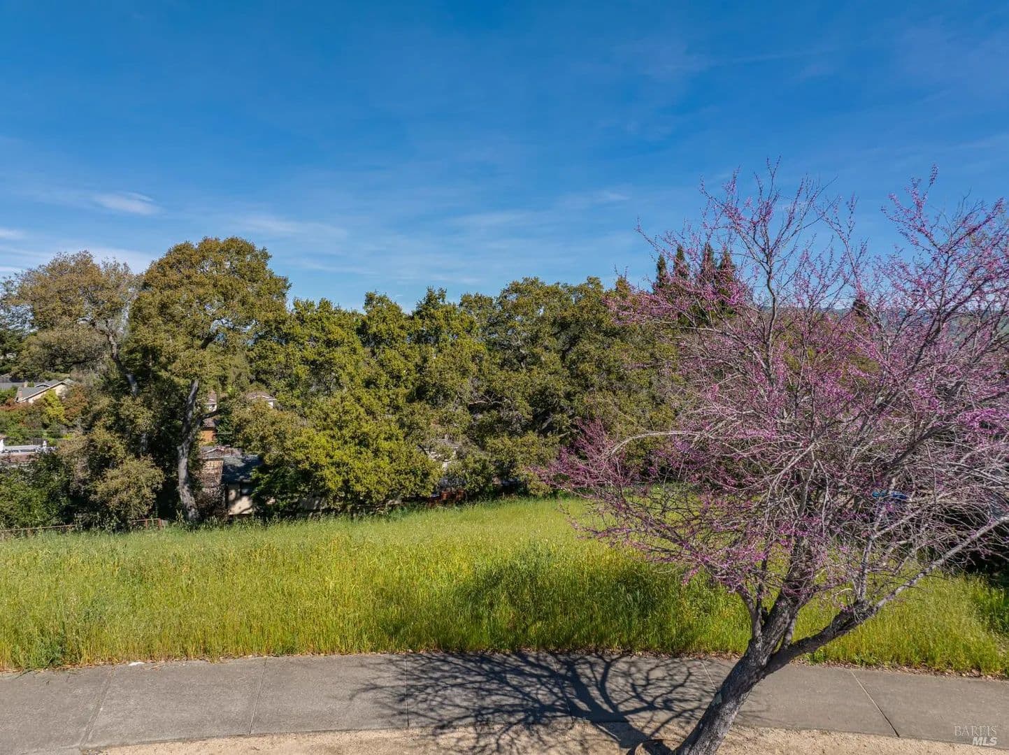 Vacant Land in Petaluma - Petaluma, California, 94952