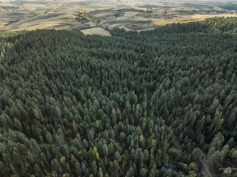 Property from TBD Foothill Rd - KW