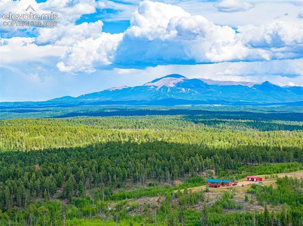 41.5 Acres of Land for Sale in Florissant, CO - Florissant, Colorado, 80816