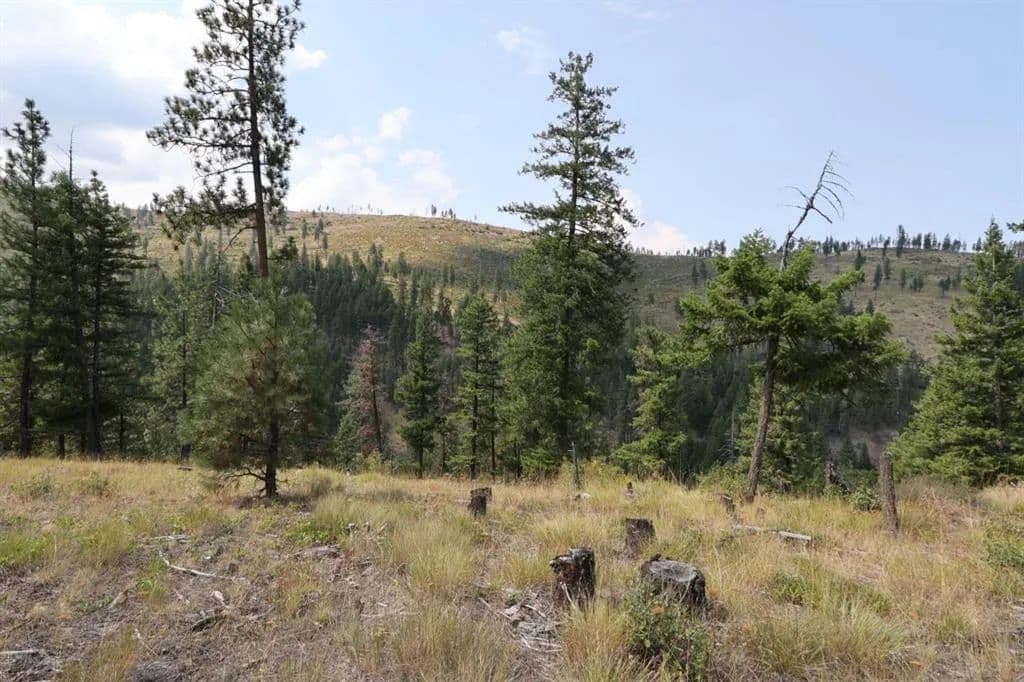Vacant Land in Plains - Plains, Montana, 59859