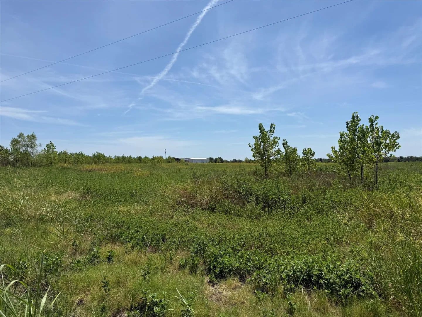 3828 Farm to Market Rd 272, Leonard, TX  - Celeste, Texas, 75423