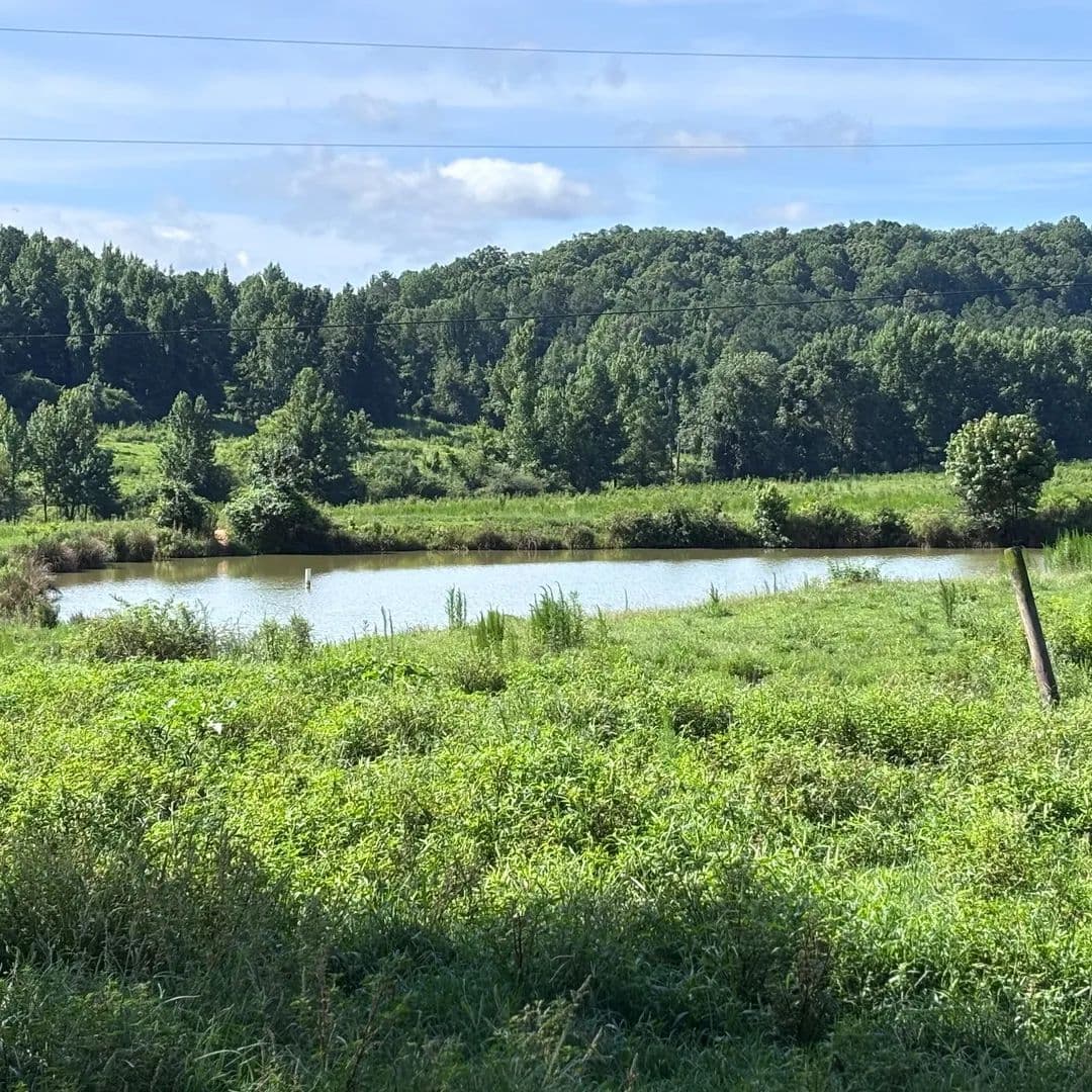 Bayne Farm 97+/- acres - Valley Head, Alabama, 35989