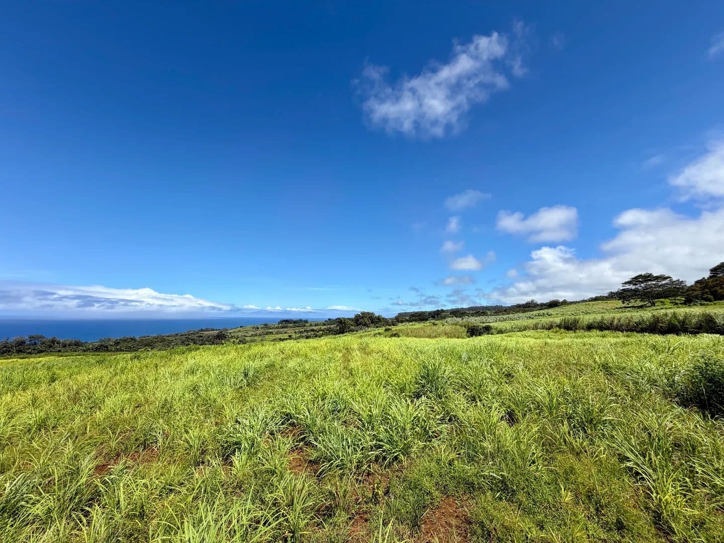 Lots & Land-Other in Papaaloa - Papaaloa, Hawaii, 96780