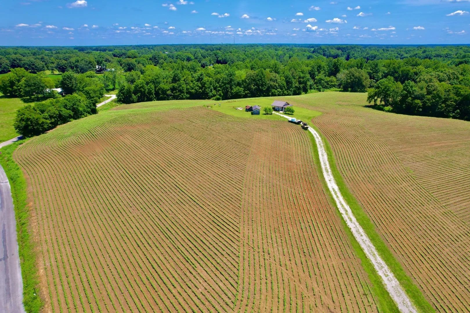 25.6 Acres of Land for Sale in Leoma, TN - Leoma, Tennessee, 38468