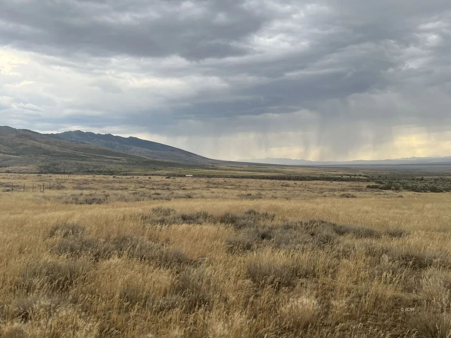 Vacant Land in Jiggs - Jiggs, Nevada, 89815