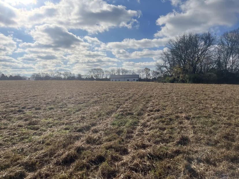 Lots & Land-Other in Castalian Springs