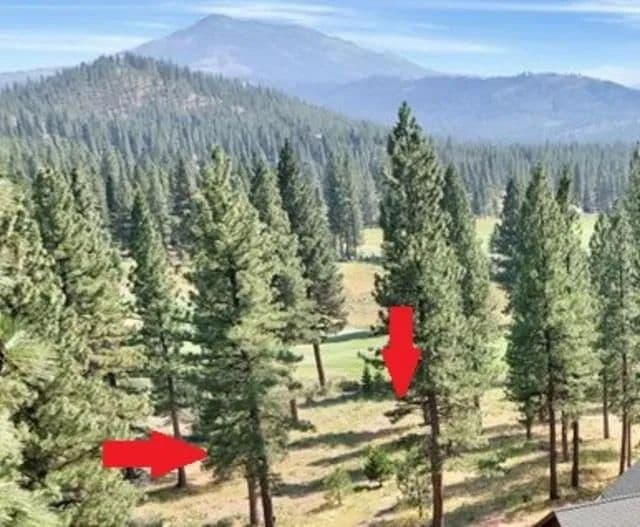 Vacant Land in Portola