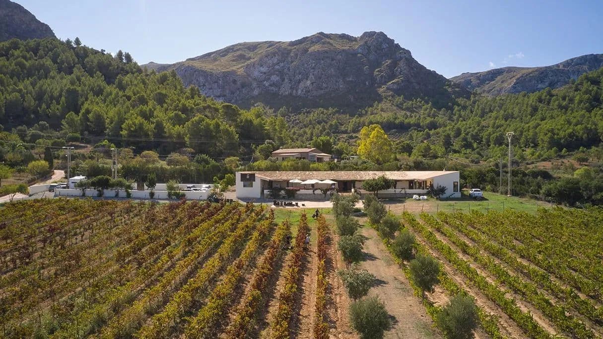 Land for Sale in Colònia de Sant Pere, BALEARES - land for sale