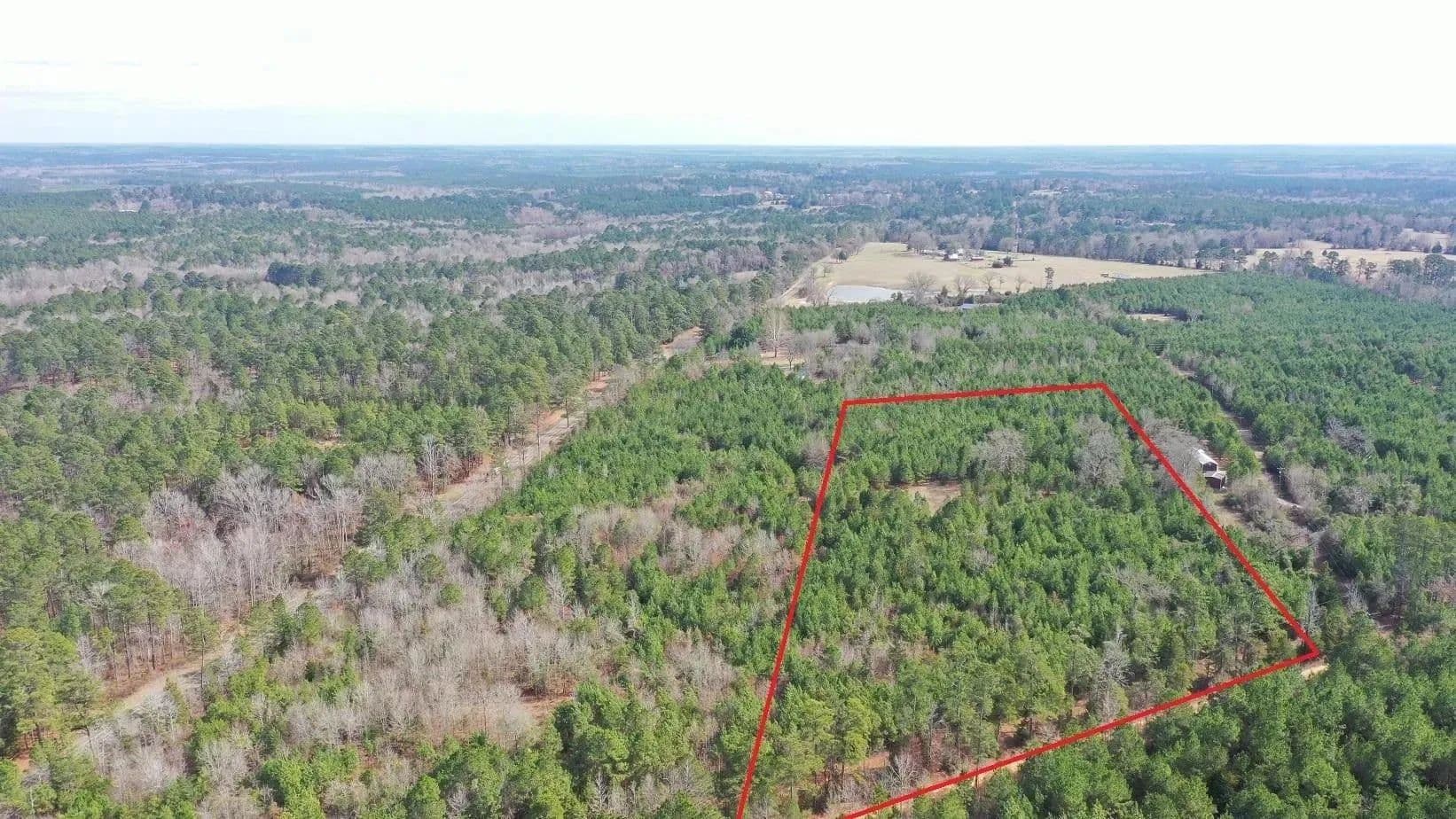 Lots & Land-Other in Linden - Linden, Texas, 75563