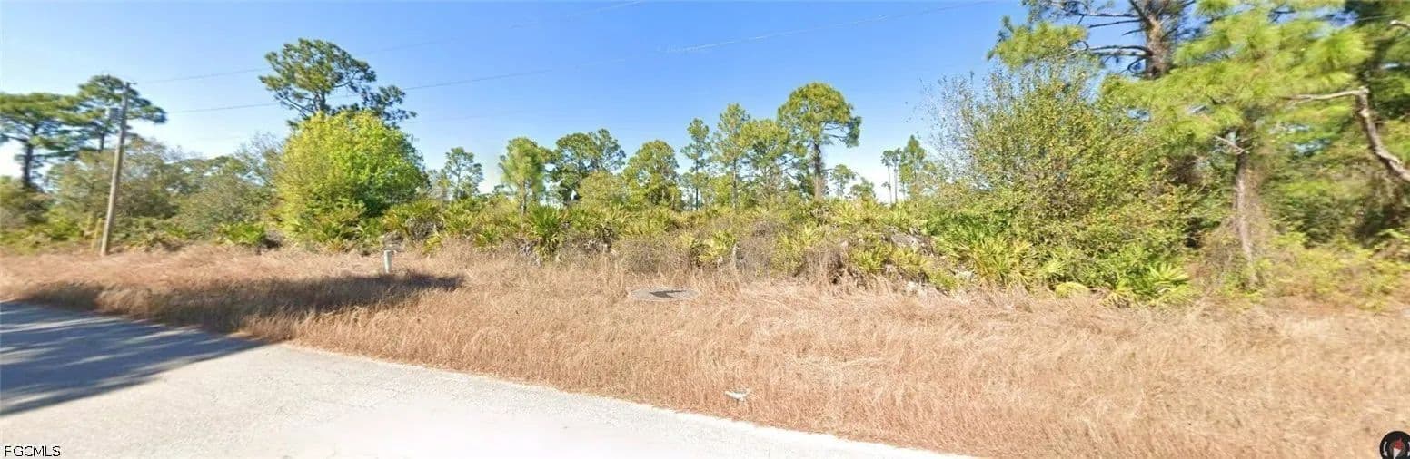 Vacant Land in Lehigh Acres - Lehigh Acres, Florida, 33974