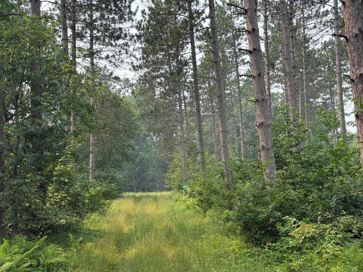 55 Acres of Land for Sale in Spooner, WI - Spooner, Wisconsin, 54801