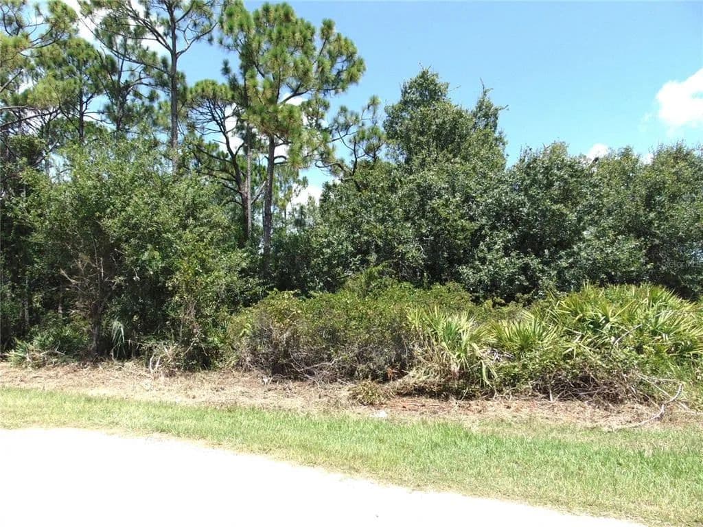 Vacant Land in Port Charlotte - Port Charlotte, Florida, 33980