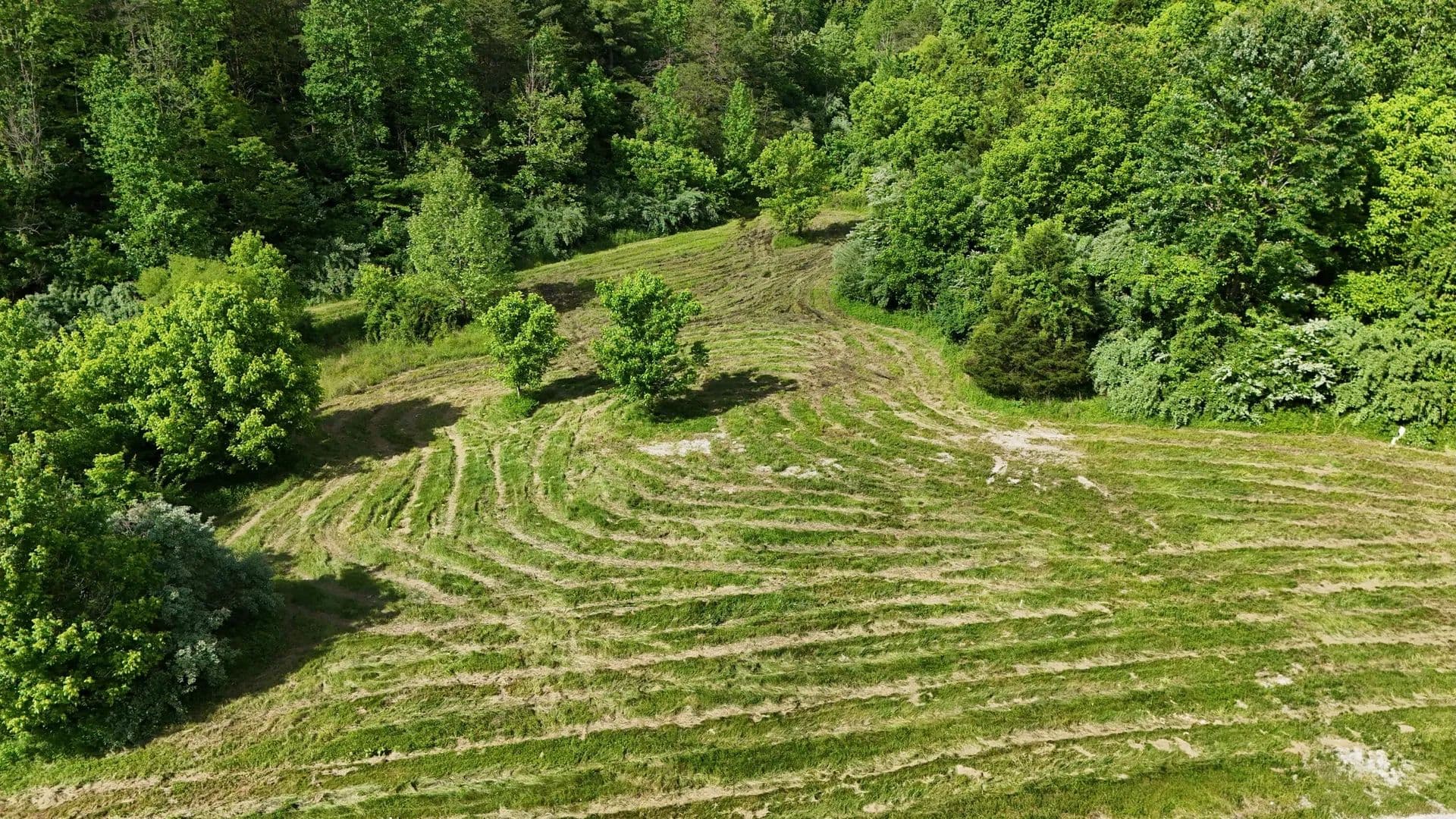 Property from Tract 15 Lewis & Collins Farm - KW - Manchester, Kentucky, 40962