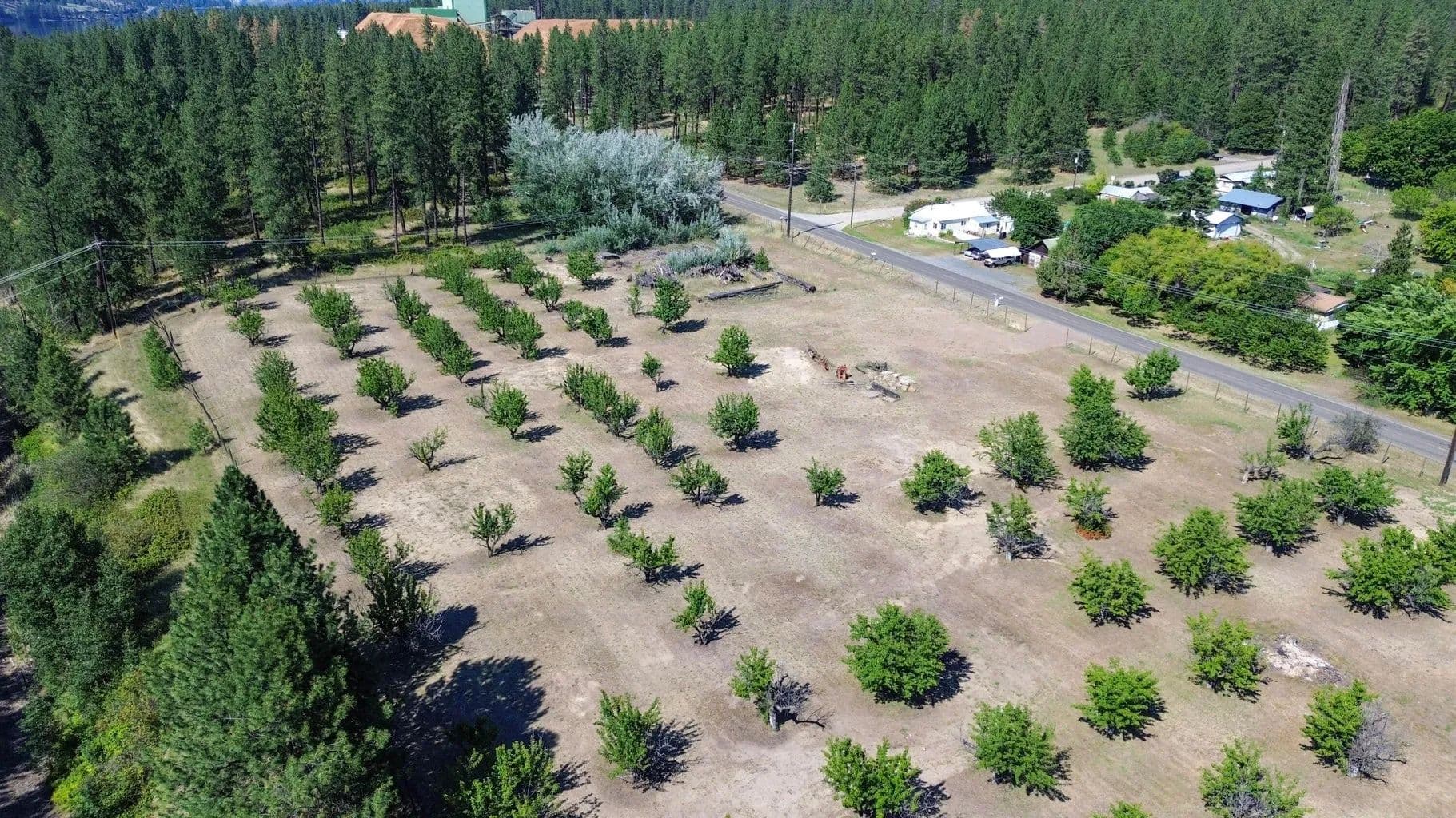 Vacant Land in Kettle Falls - Kettle Falls, Washington, 99141